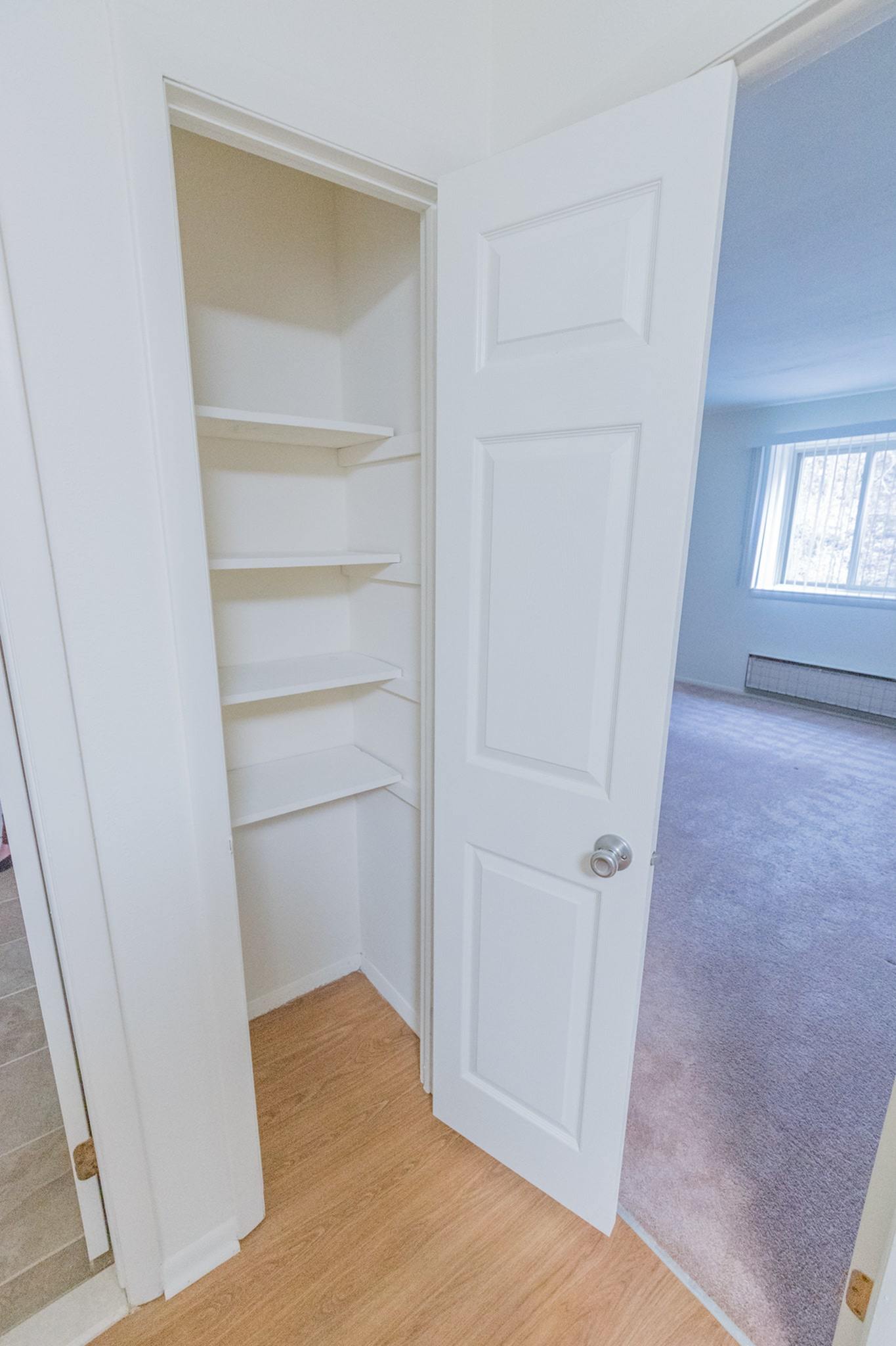 Pantry closet with shelves.