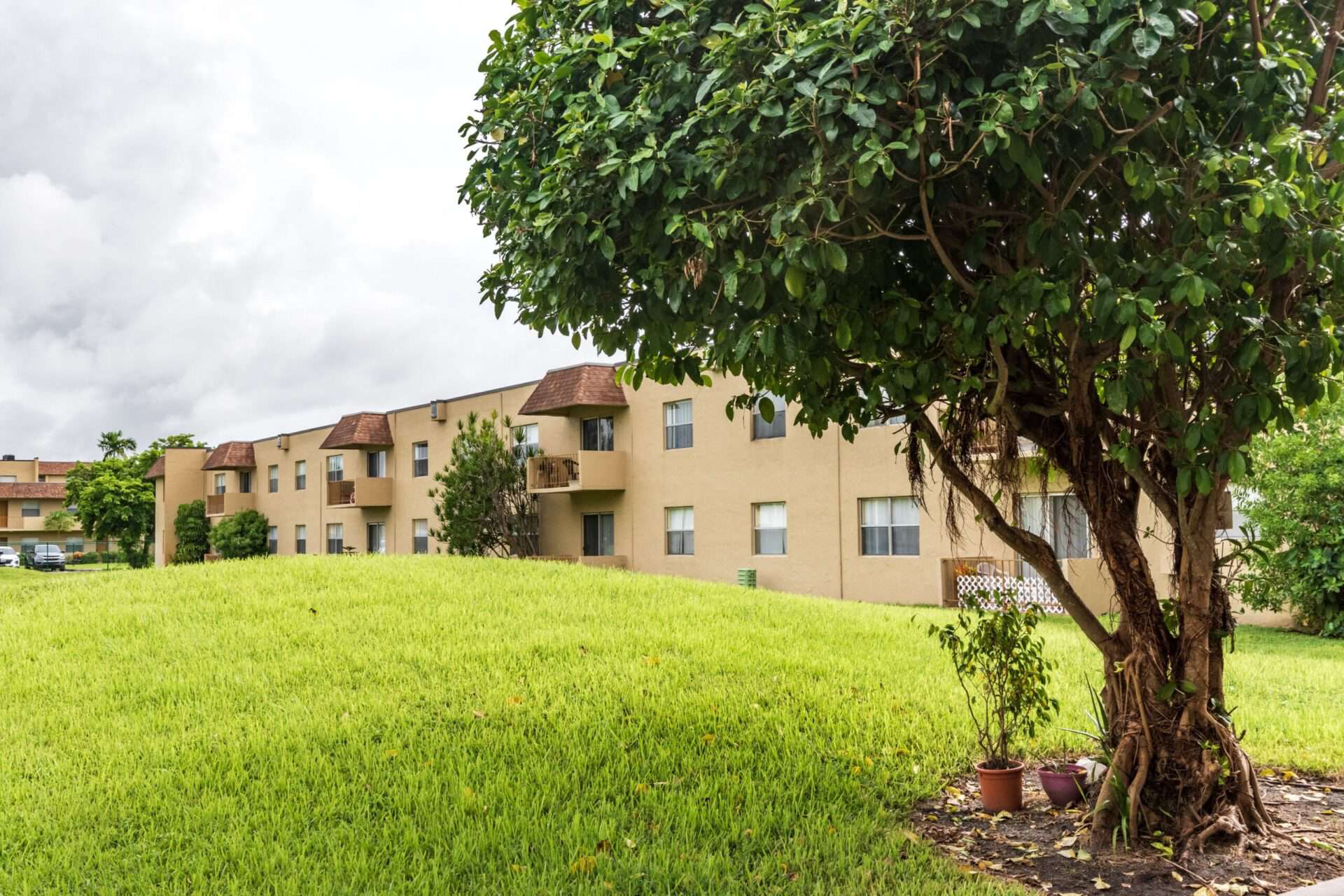 Grassy area with several trees surrounding the apartment buildings.