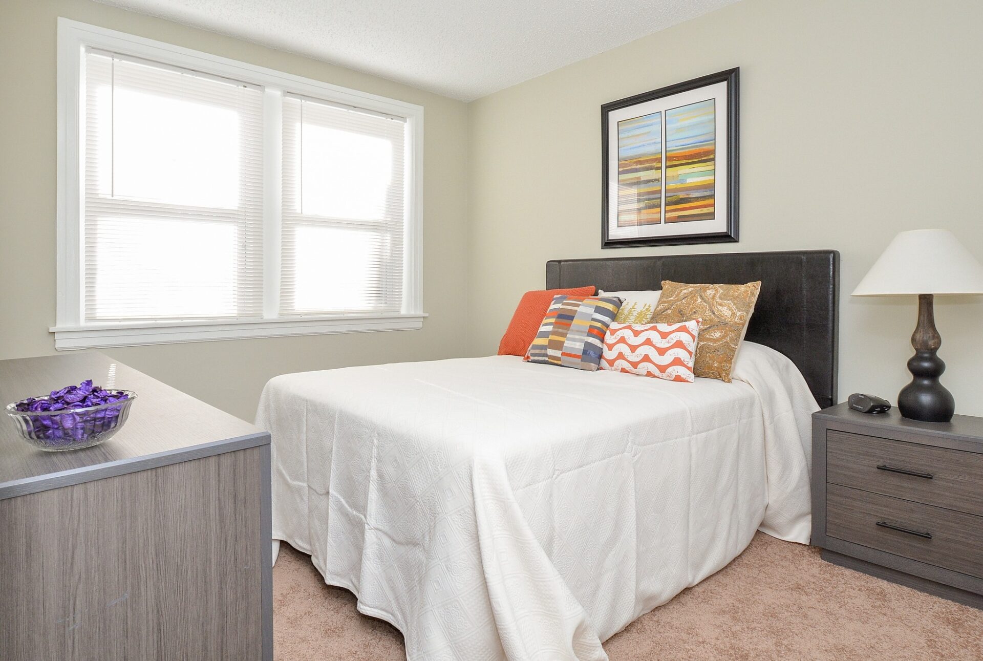 Suburban Court bedroom with carpeting, queen bed and windows