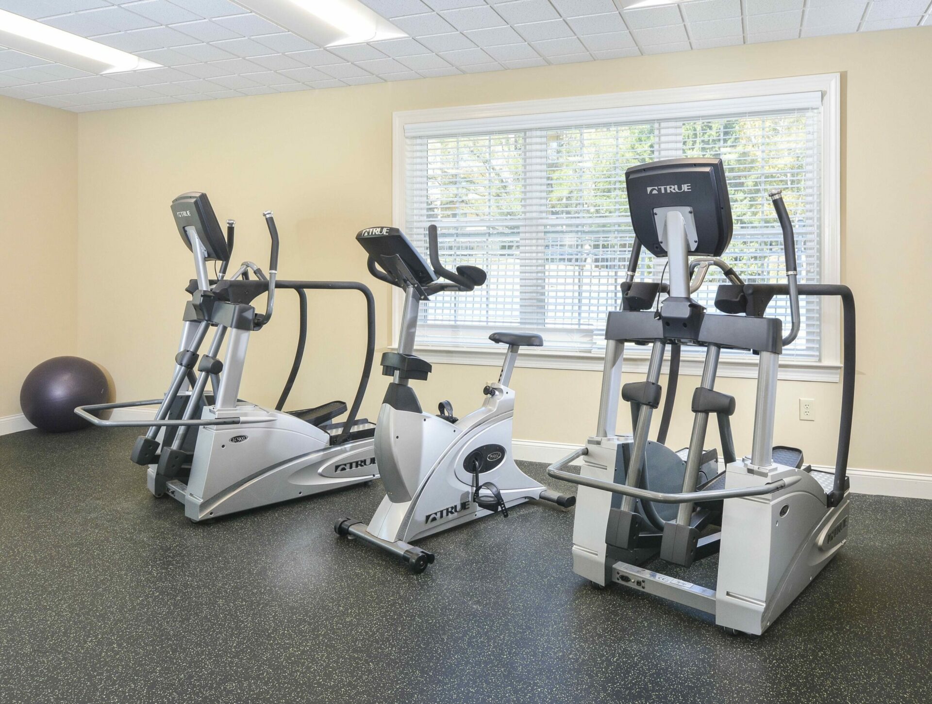 Three workout machines with a large window behind it in a gym for residents at Main Line Berwyn.
