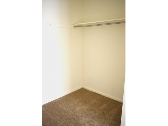 Walk-in closet area of an apartment, fitted with carpet flooring, and a rack