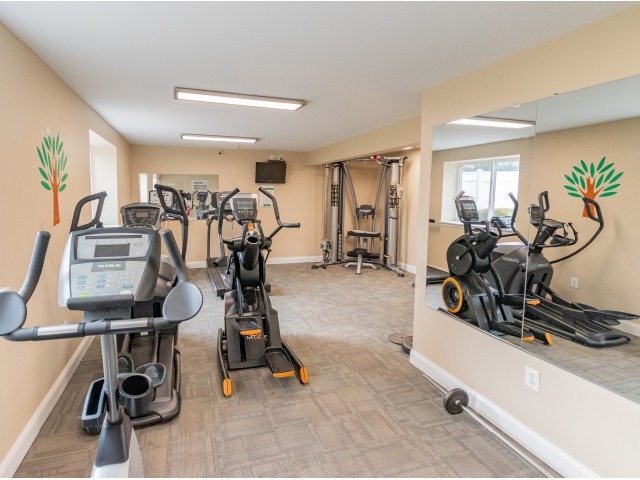 Indoor gym with a variety of workout equipment and large mirrors.