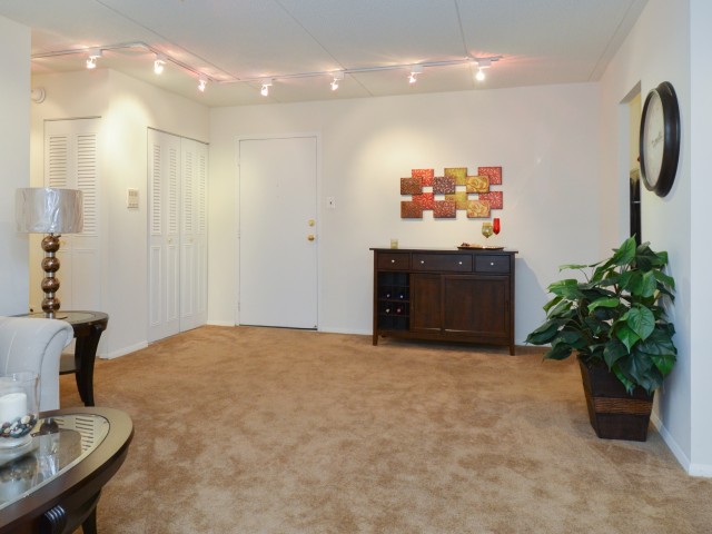 Spacious and carpeted living room space with ceiling lights.