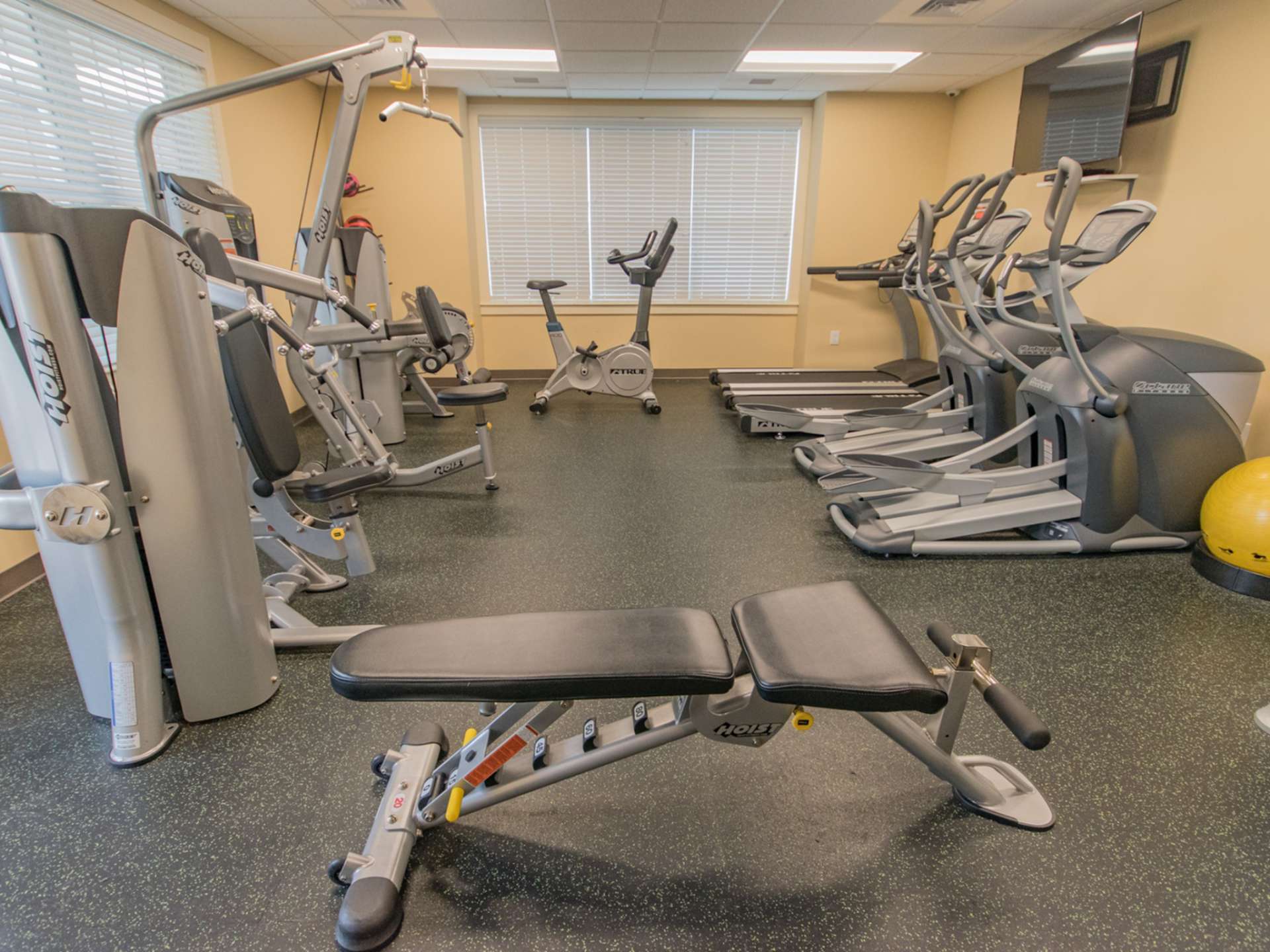 Indoor gym with various workout equipment, 2 large windows, and a tv on the wall.