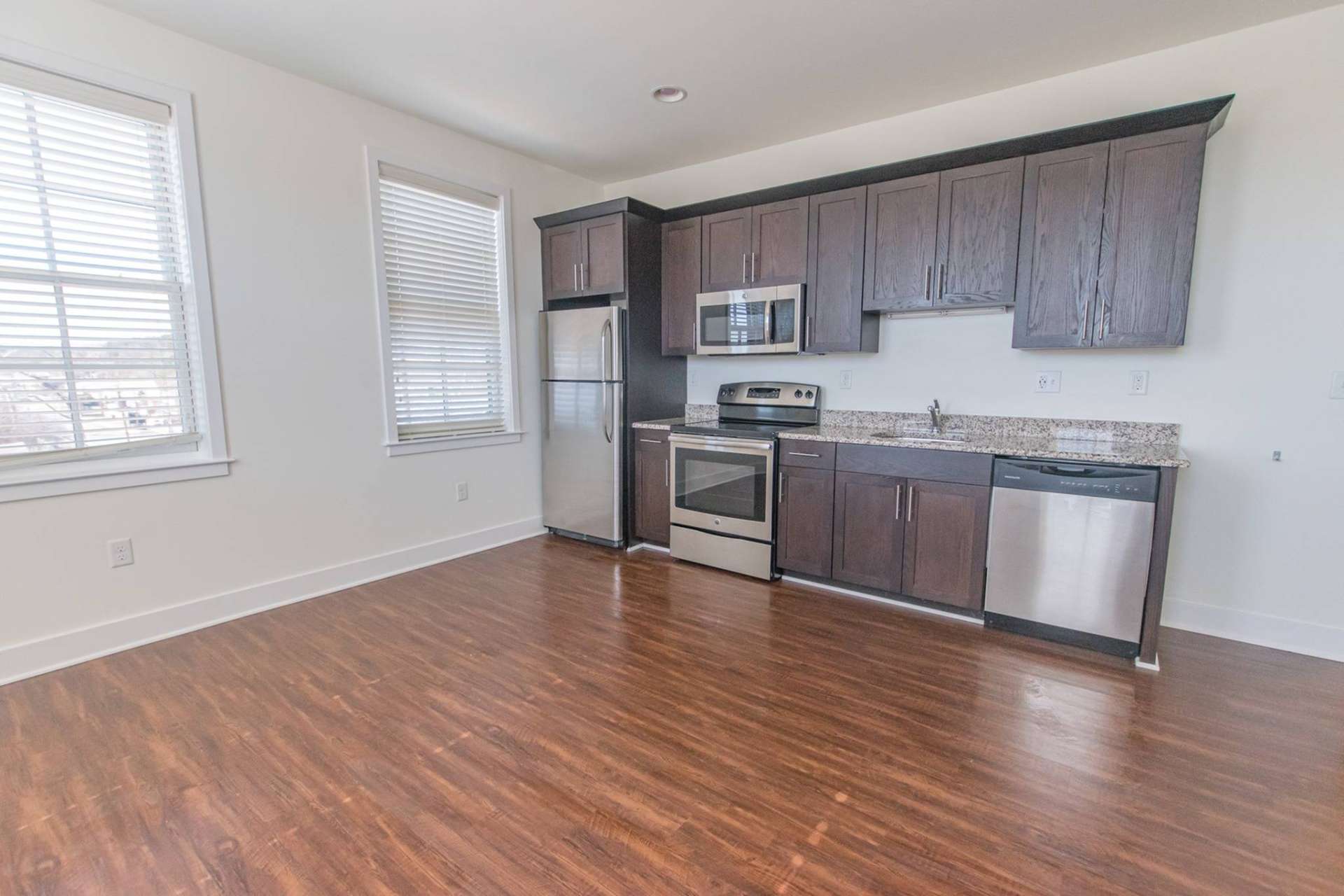 Spacious kitchen area with stainless steel appliances, two windows, and dark wooden cabinets.