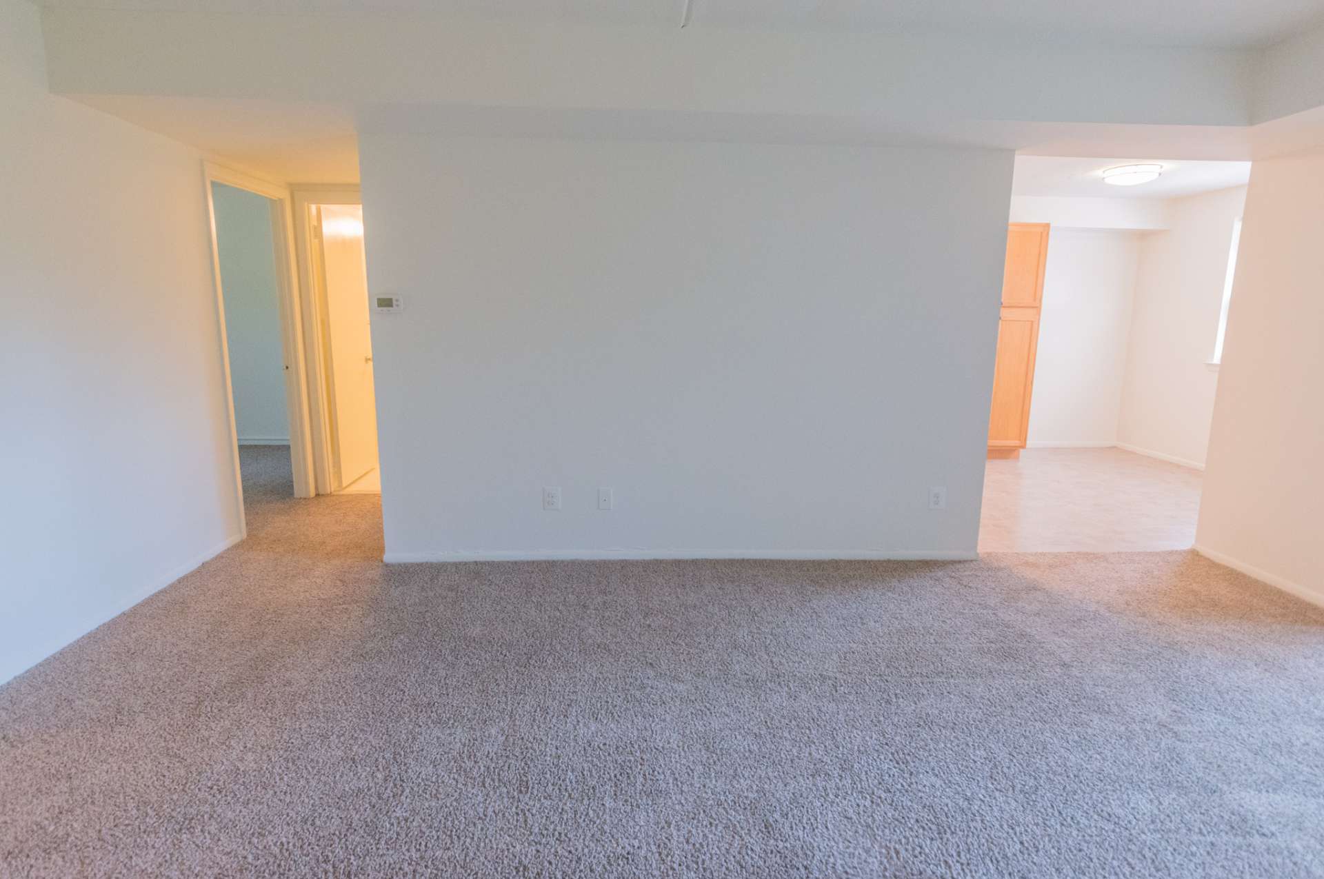 Willow Run Apartments living area with carpeting and doorway leading to the kitchen