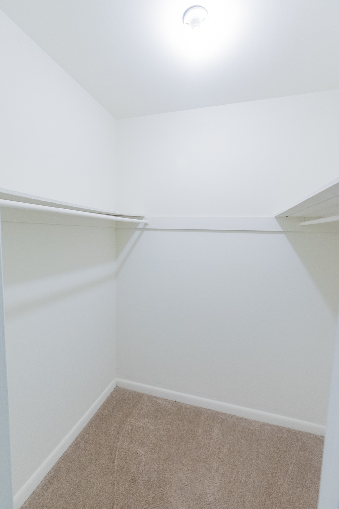 Walk in closet area of an apartment fitted with carpet flooring, shelves, and a high ceiling