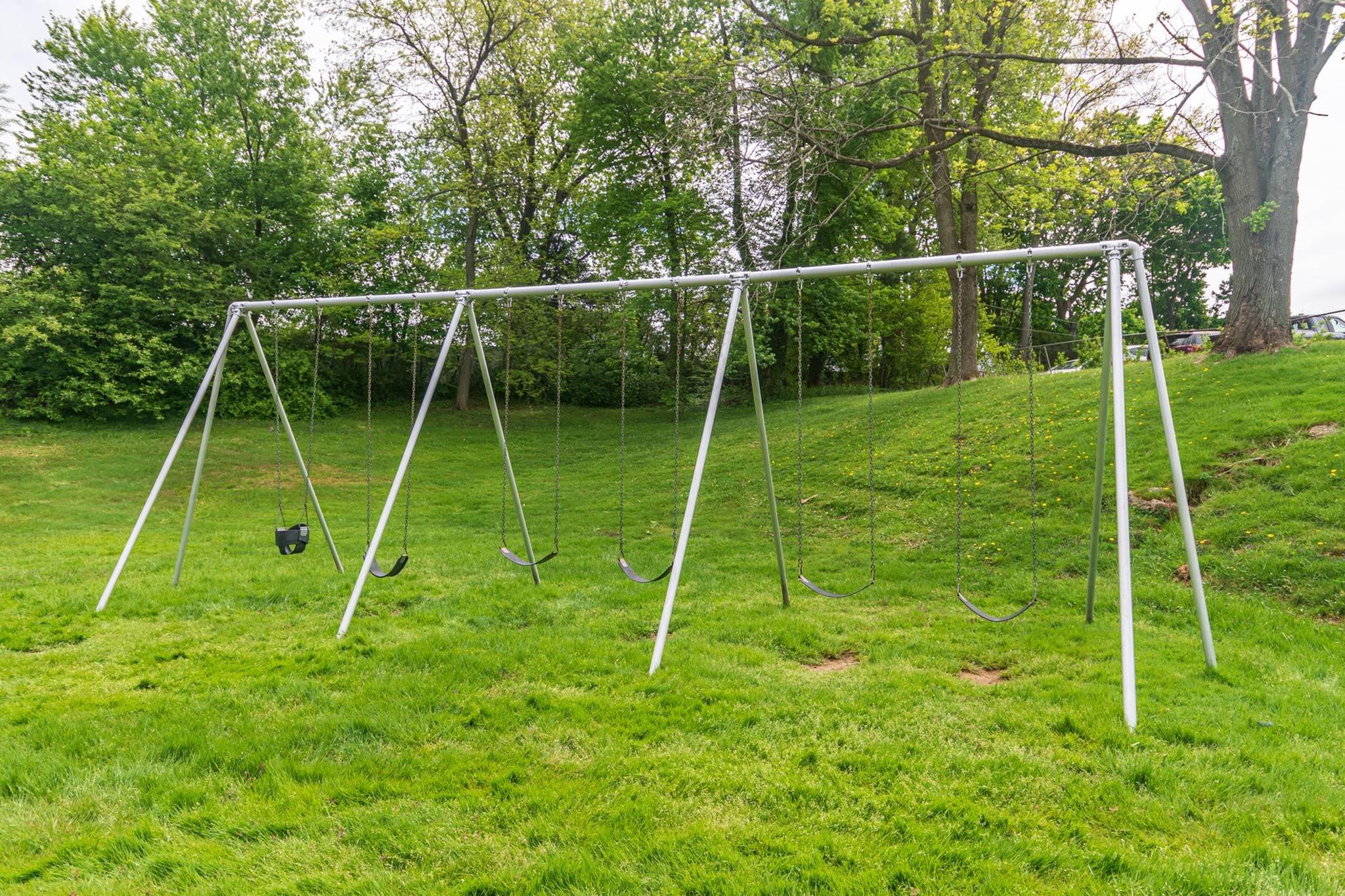 Swing set on the grass with trees behind it.