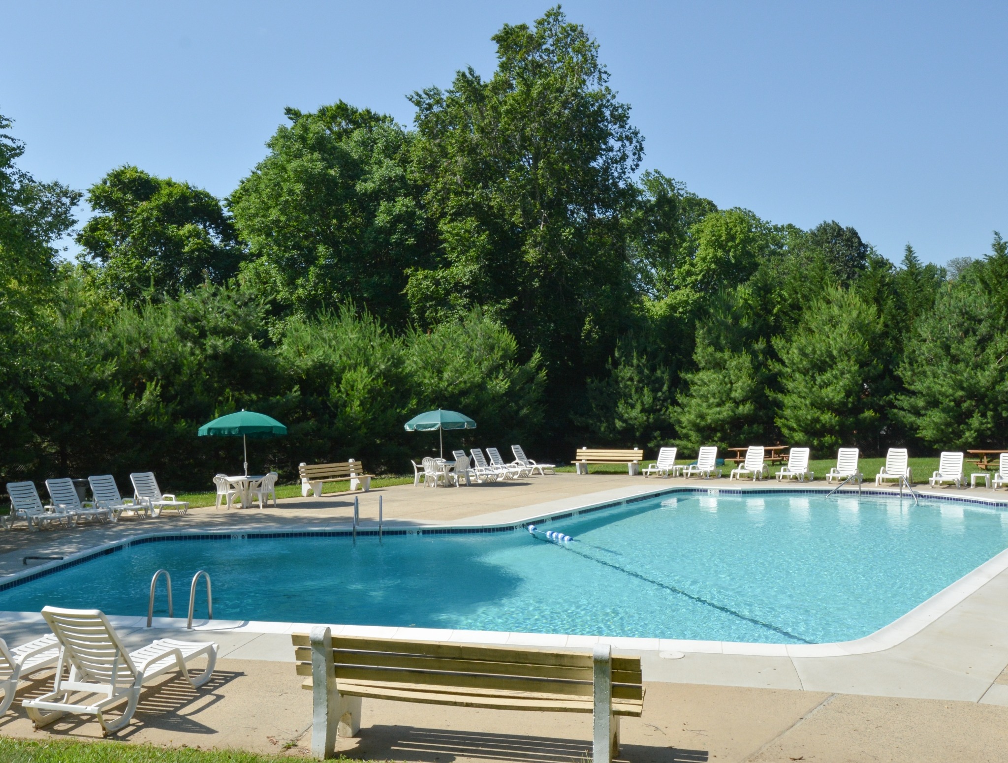 Rolling Glen large pool with loungers and trees