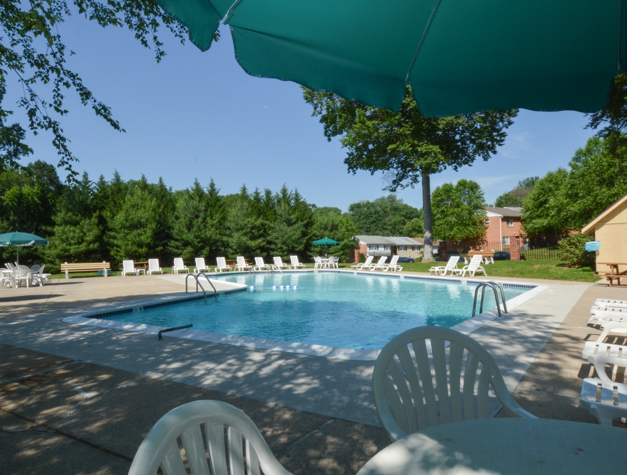 Rolling Glen large dazzling pool with loungers and tables