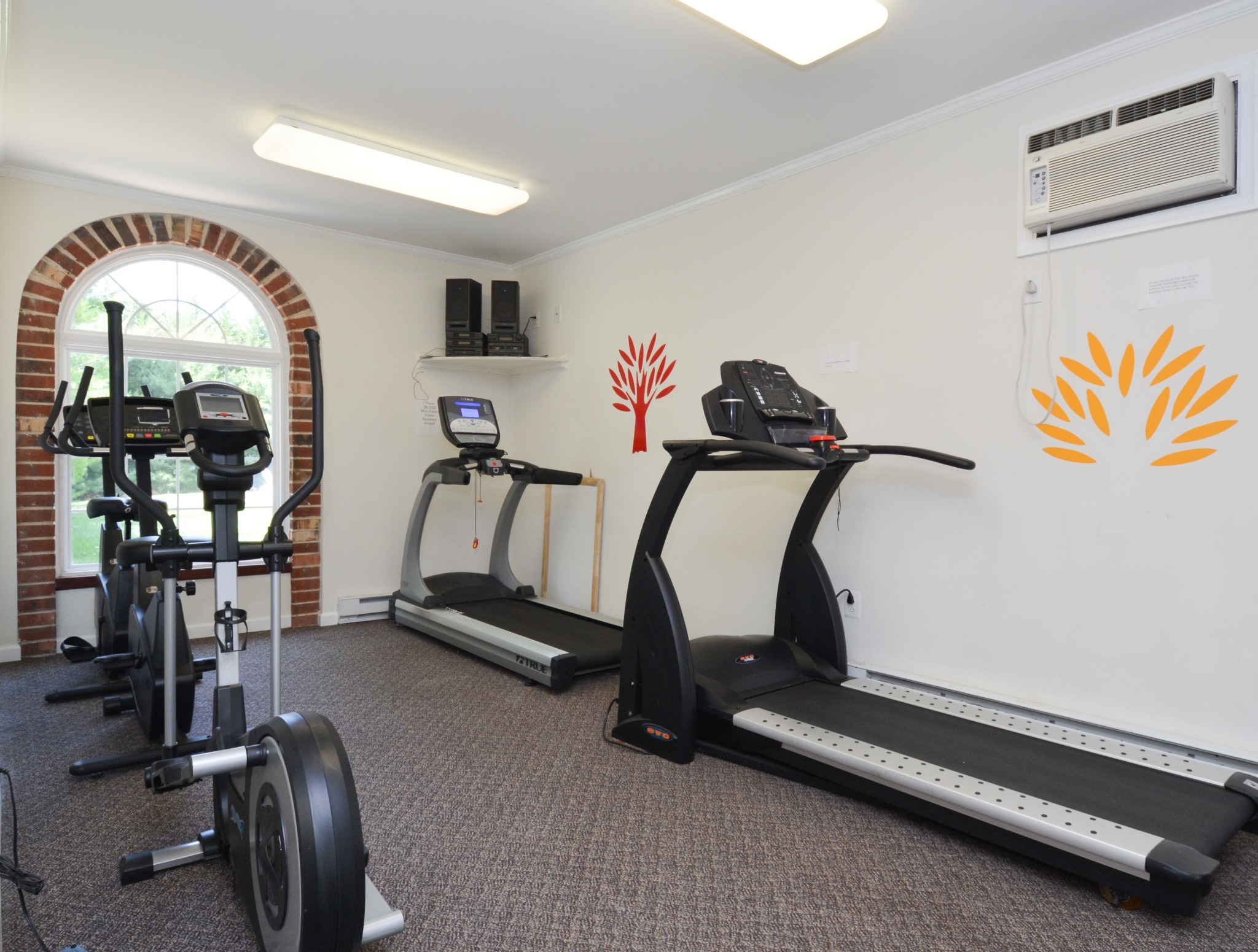 Rolling Glen fitness room with carpeting and a window