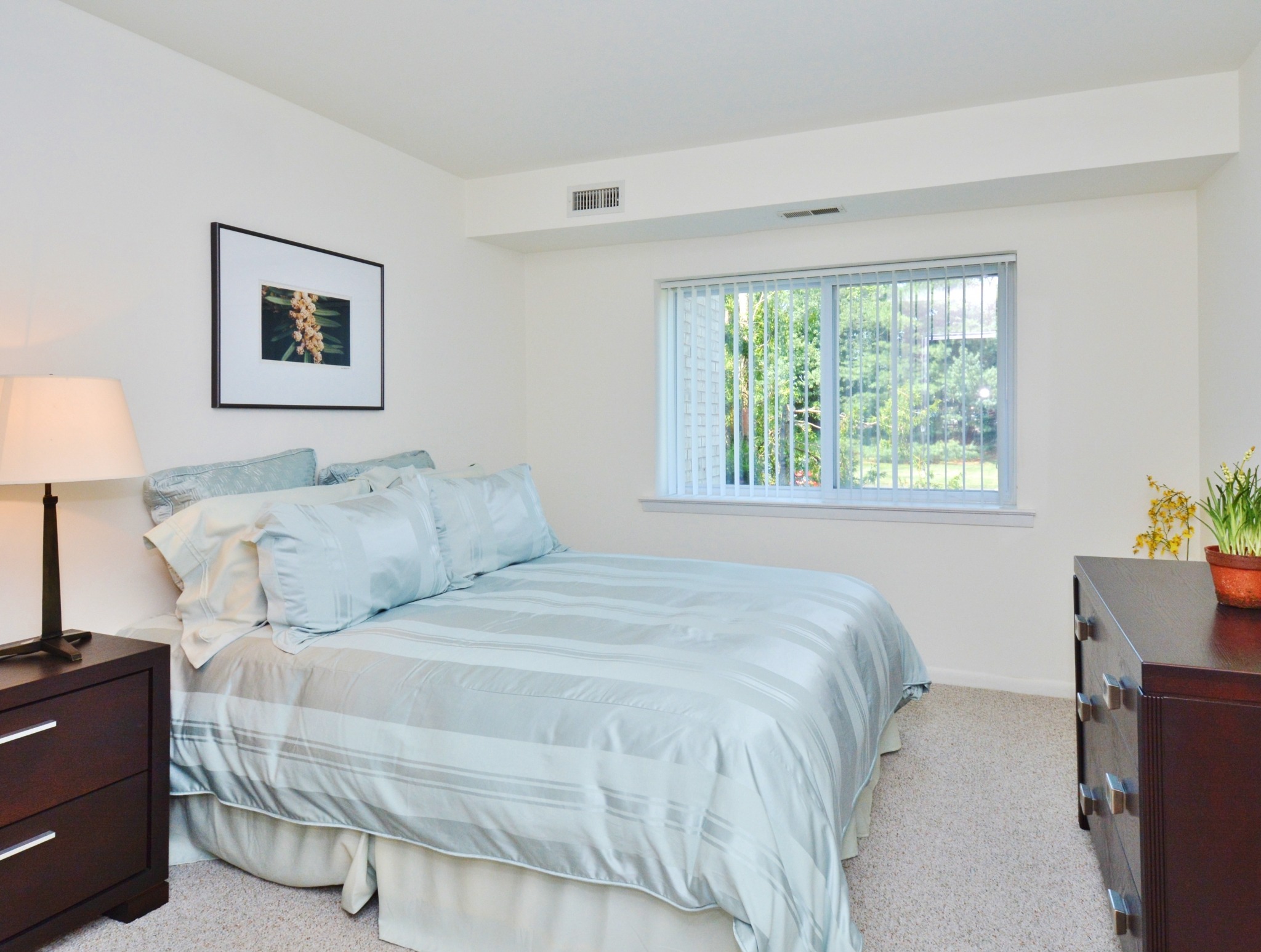 A bedroom with a queen bed, carpeting and a window at Valley Stream Apartments