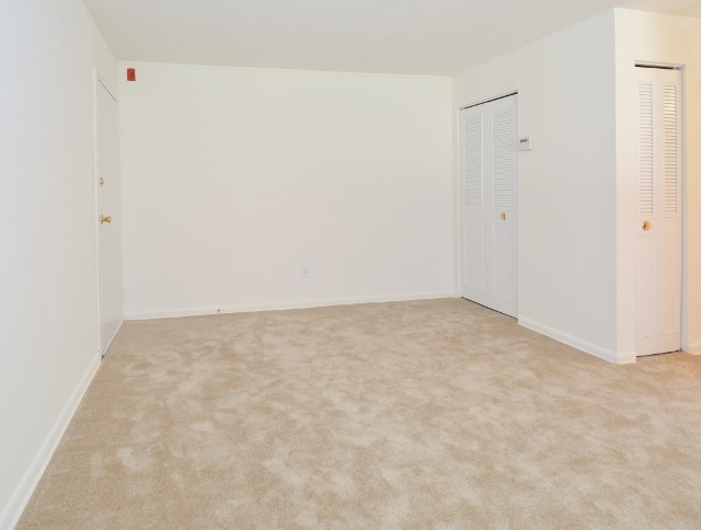 Living room area of an apartment unfurnished, fitted with carpet flooring, closets, and a high ceiling