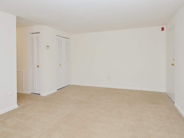 Living room area of an apartment unfurnished, fitted with carpet flooring, spacious closets, and a door entrance