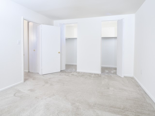 Carpeted room with walk-in closet.