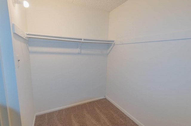 Walk in closet area of an apartment, fitted with a shelf, and a high ceiling