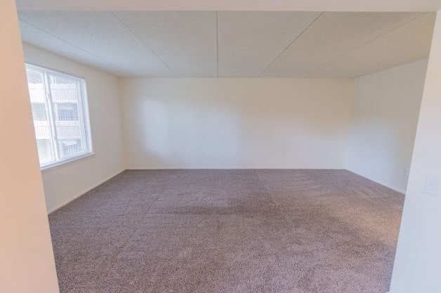 The living room area of an apartment unfurnished, fitted with carpet flooring, and a ceiling fan