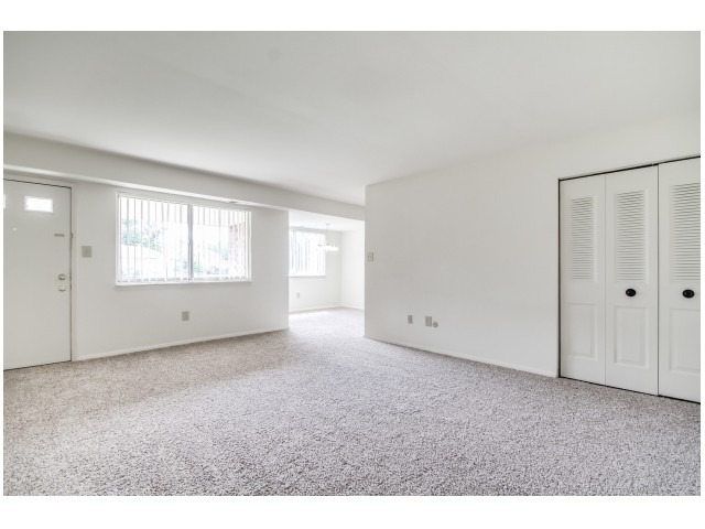 Spacious living area with light grey carpets, 2 windows, and a coat closet.