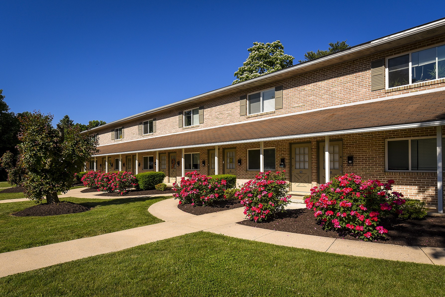 Park Court apartments exterior view landscaped with pink bushes and manicured lawn