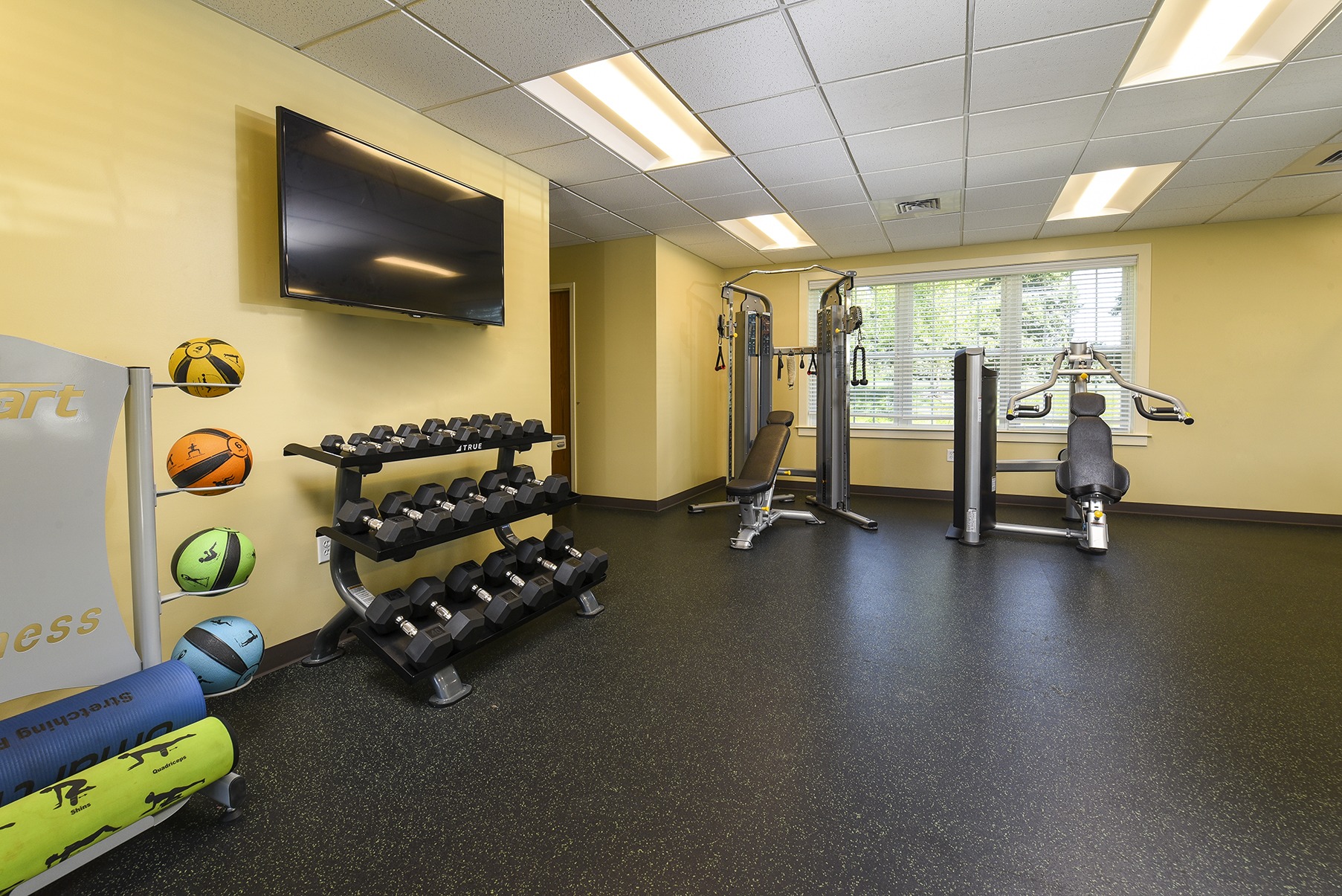 Woodland Plaza's fitness center with dumbbells, exercise balls, weight lifting stations, and a tv on the wall